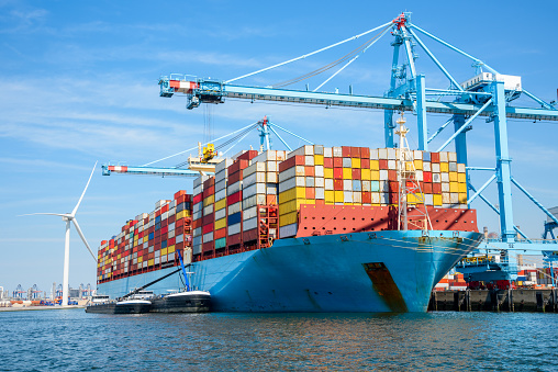 Storage Containers for Sale: Maximizing Your Space Efficiently